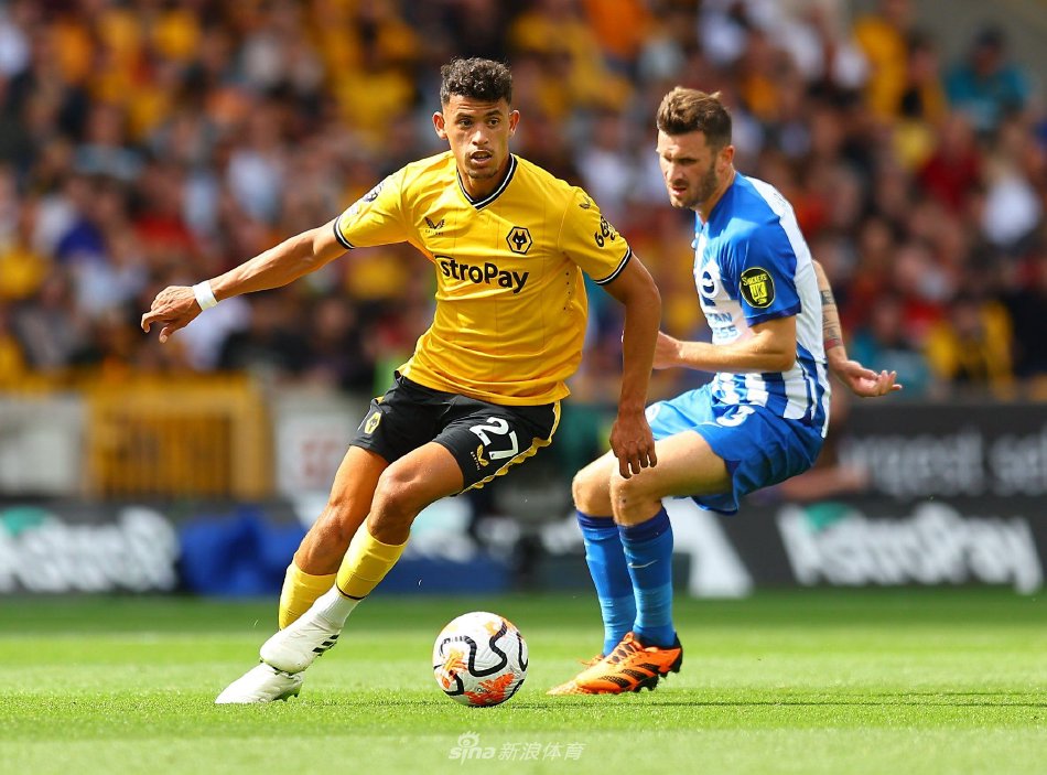 方法论的认 方法论的认